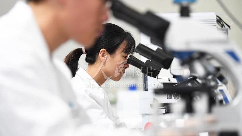 细胞工厂定制流程：揭秘生物医药生产的精密之旅