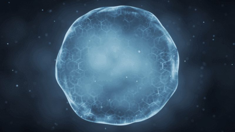 广州生物科技技术服务外包：揭秘行业秘密与选择要点**