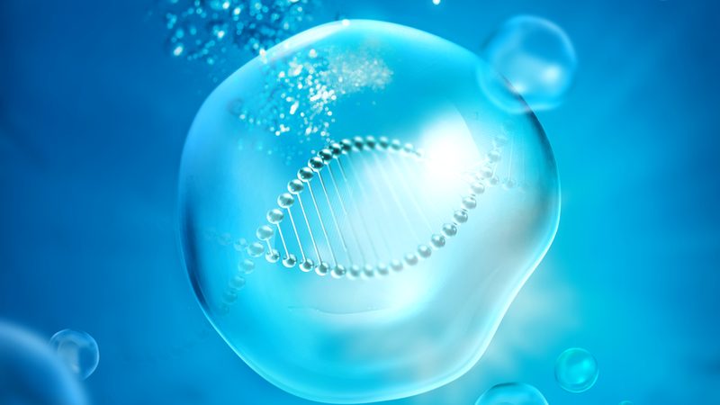 ADC药物CDMO厂家选择：揭秘关键考量因素