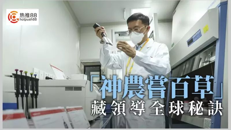 CDMO生产批文申报流程：关键步骤与注意事项