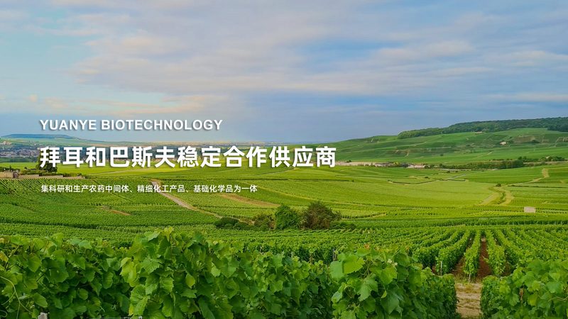 大容量移液器：精准量取，助力科研效率**