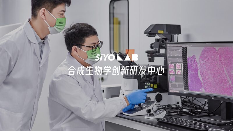 CDMO服务：揭秘药物研发背后的关键支持