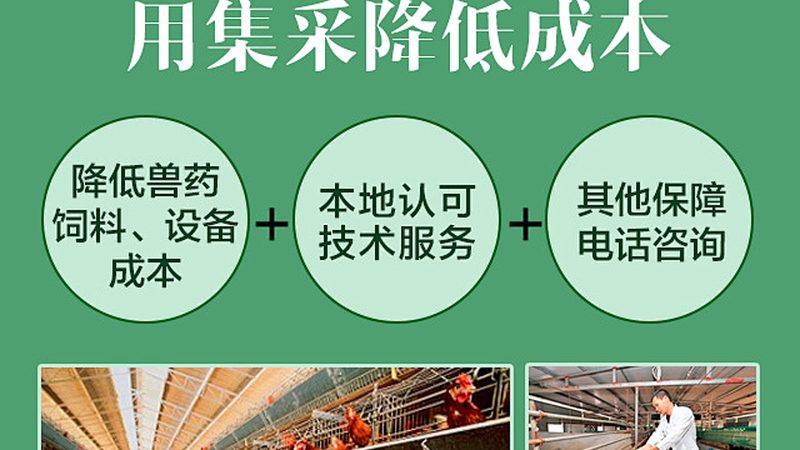 生物医药外包定制服务：揭秘其背后的关键要素