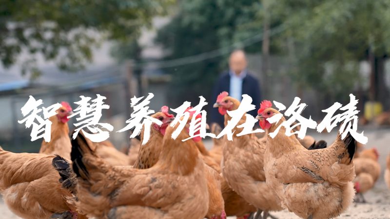 离心管市场：研发利器背后的未来图景**